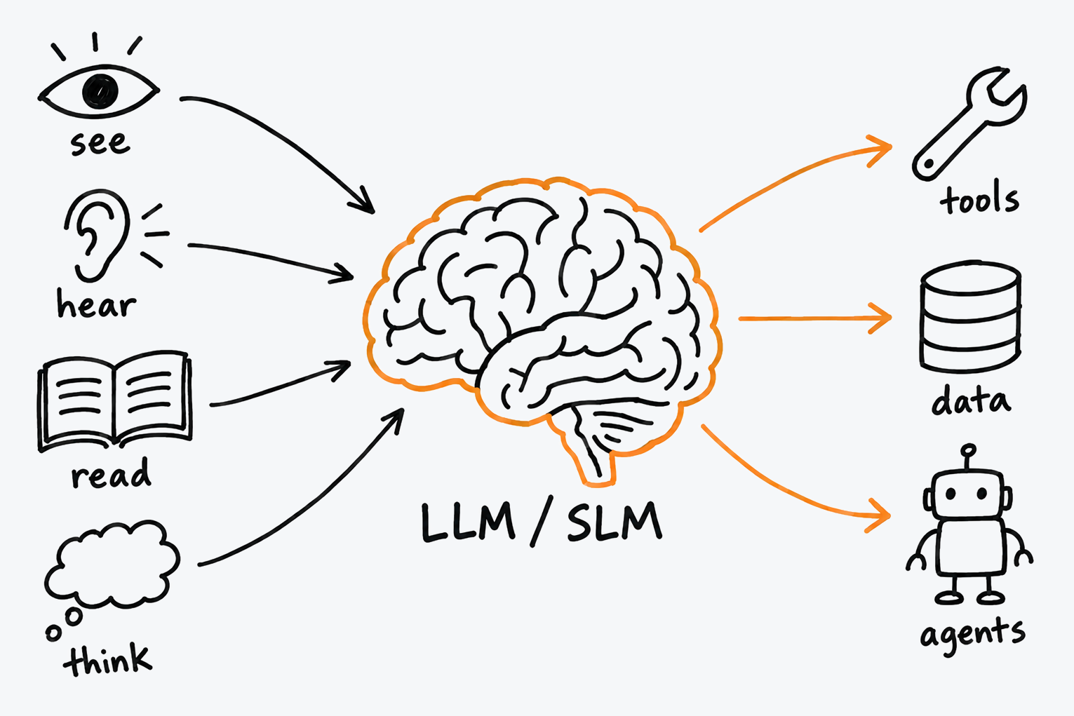 Dibujo estilo pizarrón: un cerebro etiquetado LLM/SLM que recibe lectura, vista, oído y pensamiento, y actúa a través de herramientas, datos y agentes